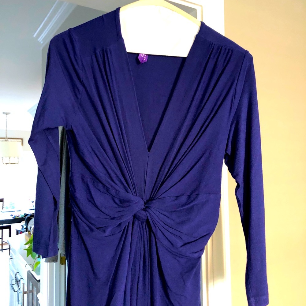 Seraphine maternity dress.